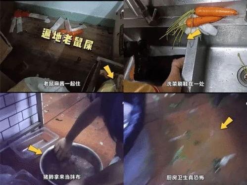 杨国福爆料视频,网红火锅背后的真实故事